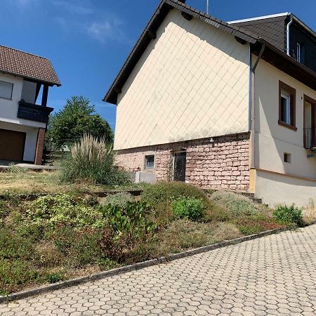 Home Feeling Trierweiler المظهر الخارجي الصورة